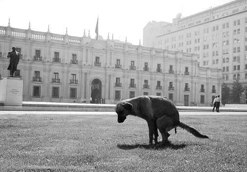 bitch-please-i-am-lolein:  foto ql hermosa. 