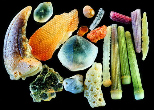 Grains of sand magnified 4xYanping Wang (photographer)Beijing Planetarium, China