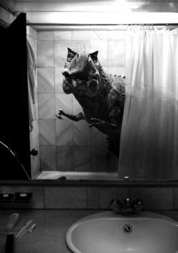 onemanwolf:  There behind you curtains.