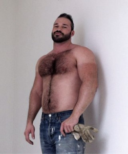 proteincubcakes:  meatandgreet:  superbears: