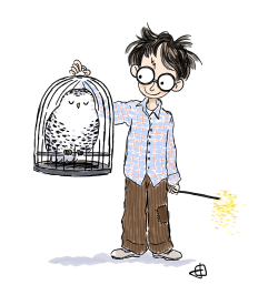 Harry And Hedwig