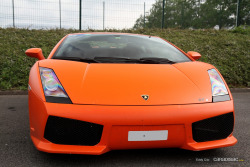 automotivated:  Lamborghini Gallardo GT4