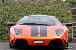 automotivated:  LAMBORGHINI MURCIELAGO GTR