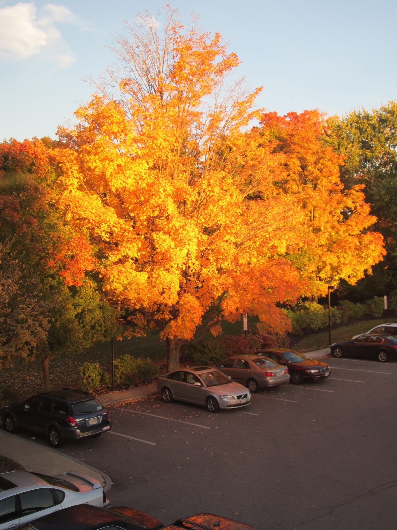 Thursday evening outside the Wellesley Library.