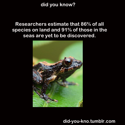 did-you-kno:  Source