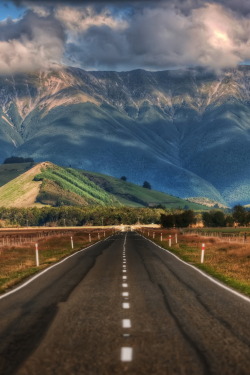 decepticun:  The Long Road in New Zealand 