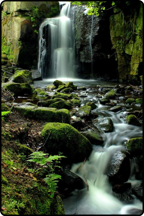 mistymorrning:Lumsdale Falls, Derbyshireby Michael Topley