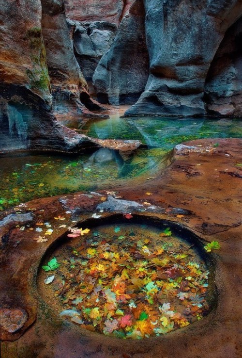 opticallyaroused:The Fairy Pool