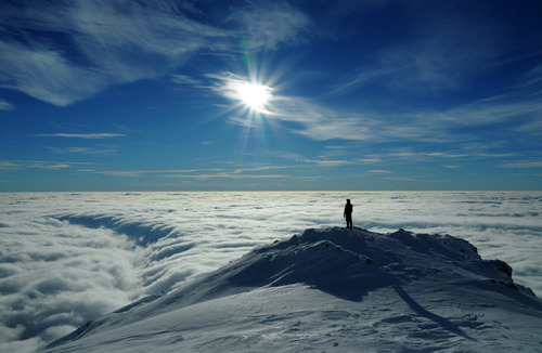 wonderous-world:  500px / Photo “Solaris” by Calin Gabor on We Heart It. http://weheartit.com/entry/40662269