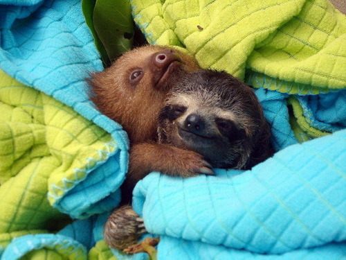 animalstalkinginallcaps:  I’M GONNA GET US OUT OF HERE, BABE. TAKE YOU AWAY FROM THIS TINY TOWN FULL OF TINY MINDS, THINKING THEIR TINY LITTLE THOUGHTS. WHATEVER IT TAKES, I’M GONNA GET US ON THAT OPEN ROAD. NOTHING’S GONNA STOP US. IT’S JUST