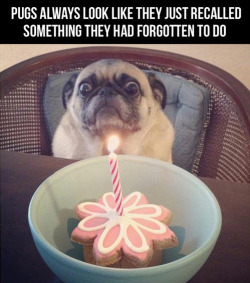 tastefullyoffensive:  [via]