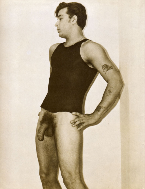Major Dad&rsquo;s Vintage nude 384  vintagegaypics: Dave McAllister