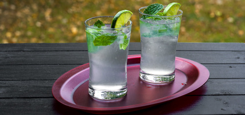 Classic Mojito