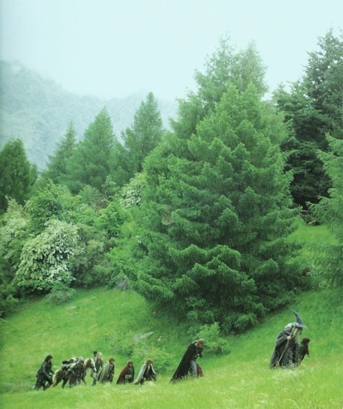 fuckyeahfrodo:  The Fellowship 
