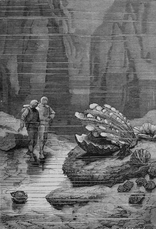 floserber:Alphonse de Neuville’s engravings for 20000 Leagues Under the Sea by Jules Vernes.