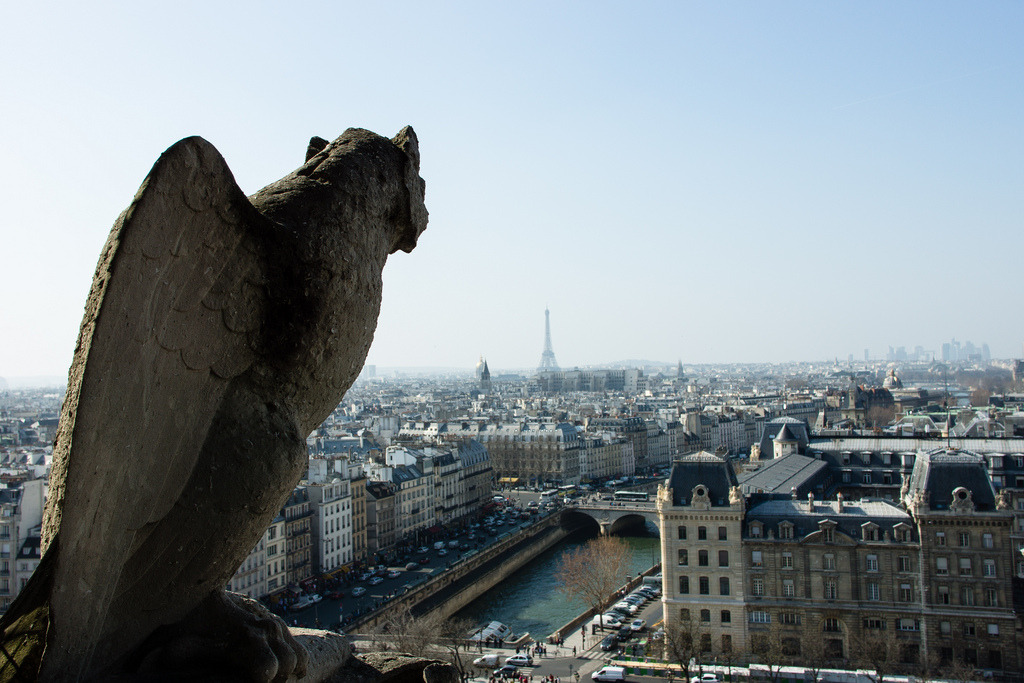 Paris, from the top of the Notre Dame