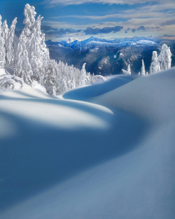 Fleeckr:  Vancouver-Mt Seymour Provincial Park Bc Canada By Kevin Mcneal 