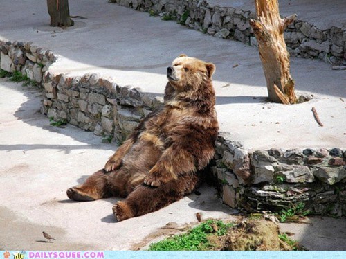 ragingbeard: Basically me. 