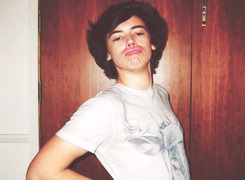 rockpayne-blog:  One Direction fetus  
