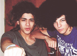 rockpayne-blog:  One Direction fetus  
