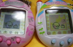 Tamagotchi!