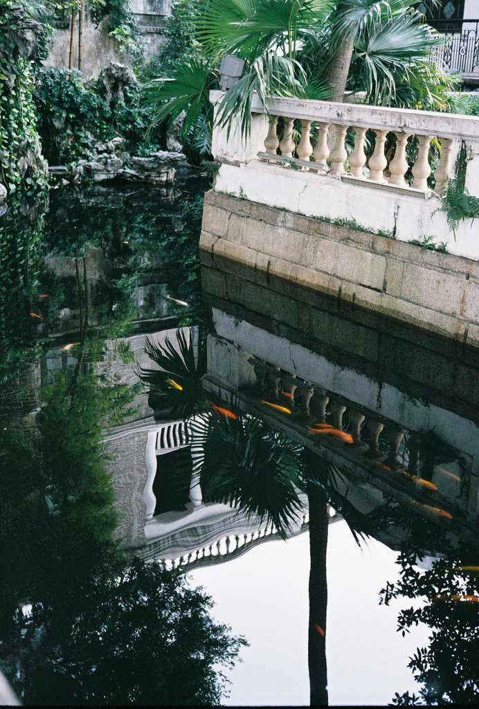 g0ld-dvst:  luxury/dope/urban 