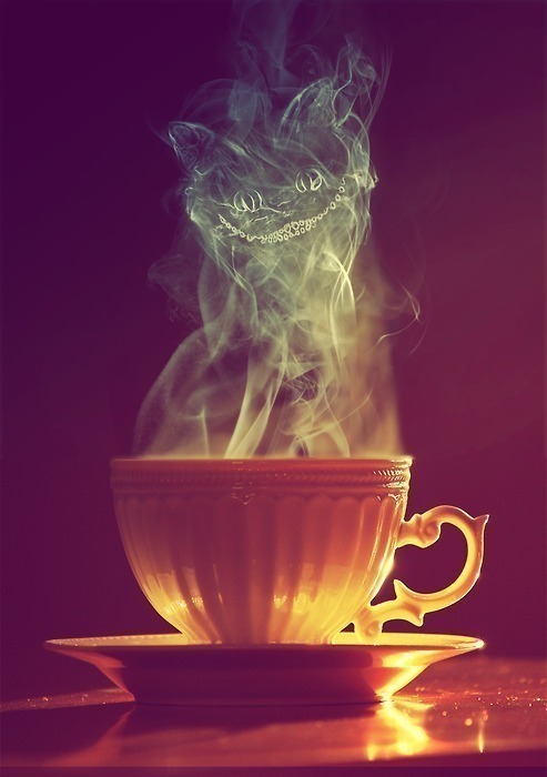 sounds:  chesire cat | Tumblr on We Heart It. http://weheartit.com/entry/40378704