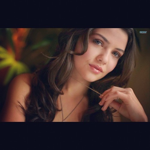 teamdaniellecam:  #daniellecampbell 