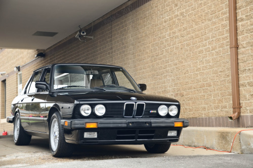 thatkidwithanikon:  The owner of this car also owns every single generation of M5 since the E28, an M6, an E30, and a Z8….. :O 