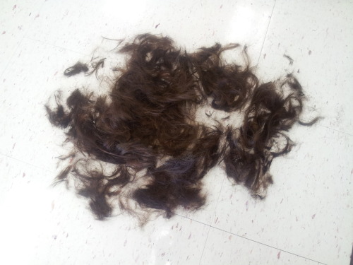 Porn I cut off all my hair photos