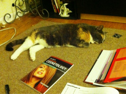 Stasia likes to hang out with me when I do my homework.