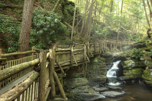 On the Way to Bushkill Falls in northeast Pennsylvania, USA (by MDiCola Photography).