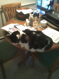 Getoutoftherecat:  If You Wanted My Attention You Certainly Have It Now. Your Table