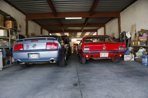 Porn fuckyeahfordmustangs:  two generations. thirteesiks photos