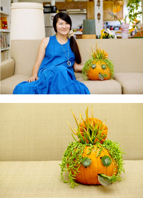 halloween is approaching!  check out our friend anh&rsquo;s nifty jack-o-lantern diy to have the coo