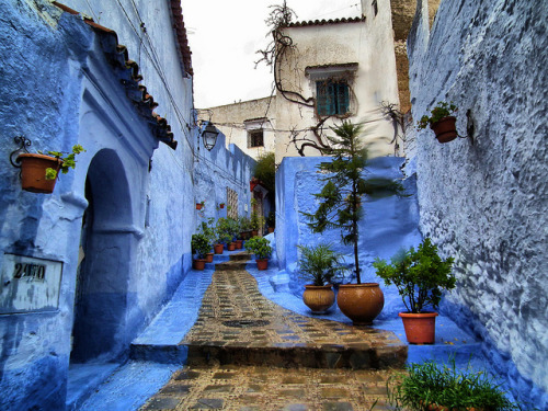 Distinctive blue streets of Chefchaouen, Morocco (by toyaguerrero).