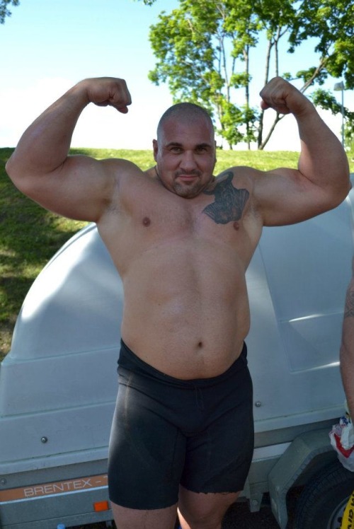 justbulls:  Massive Bull