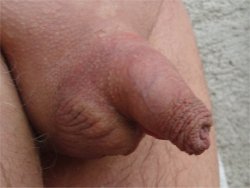 tiny cock