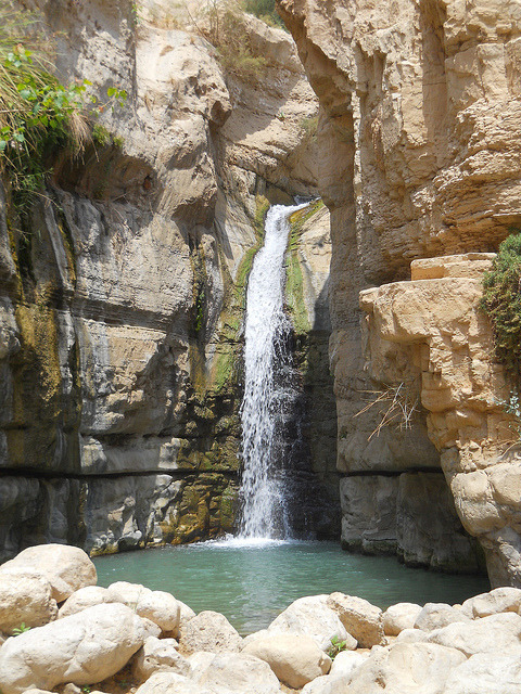 Waterfalls in Ein Gedi Nature Reserve, Israel (by SaintJosephsCollege).