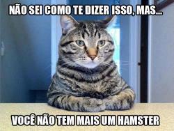 +qd+