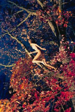 Marieke (Fall Foliage) by Ryan McGinley