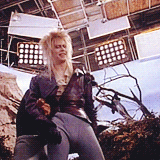 trendy-rechauffe:  “Inside the Labyrinth” 