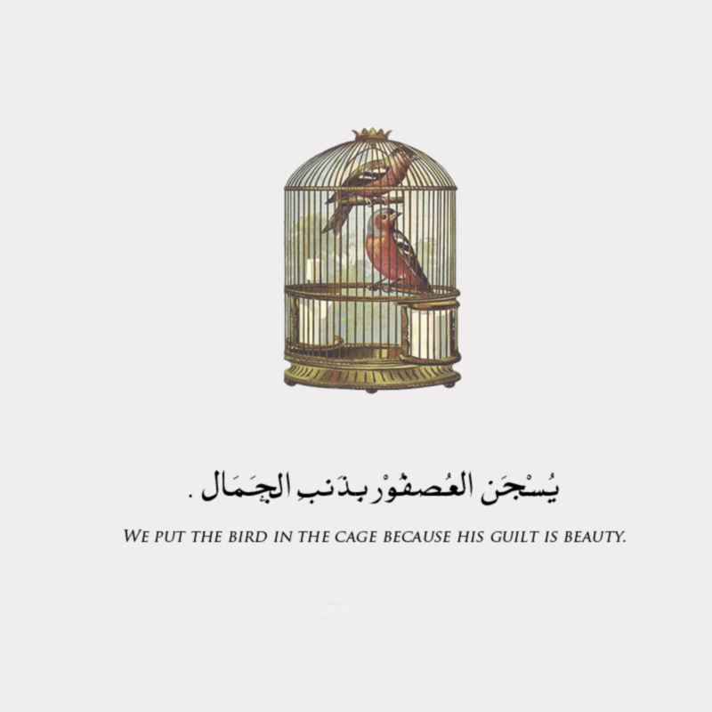 ♥ هديل * ~