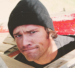 12189:   1/25 of Jared Padalecki  