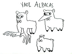 lindzar:  spookyties:  Alpacas the yaoi collection stay tuned for series 2  This was the best thing I’ve ever witnessed 