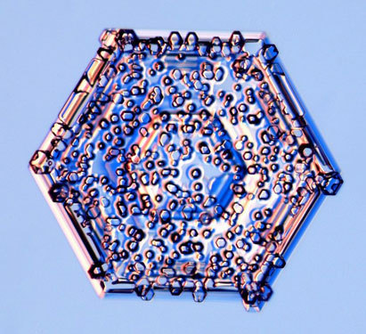 scienceyoucanlove:  Rime crystalClouds are made of countless water droplets and sometimes