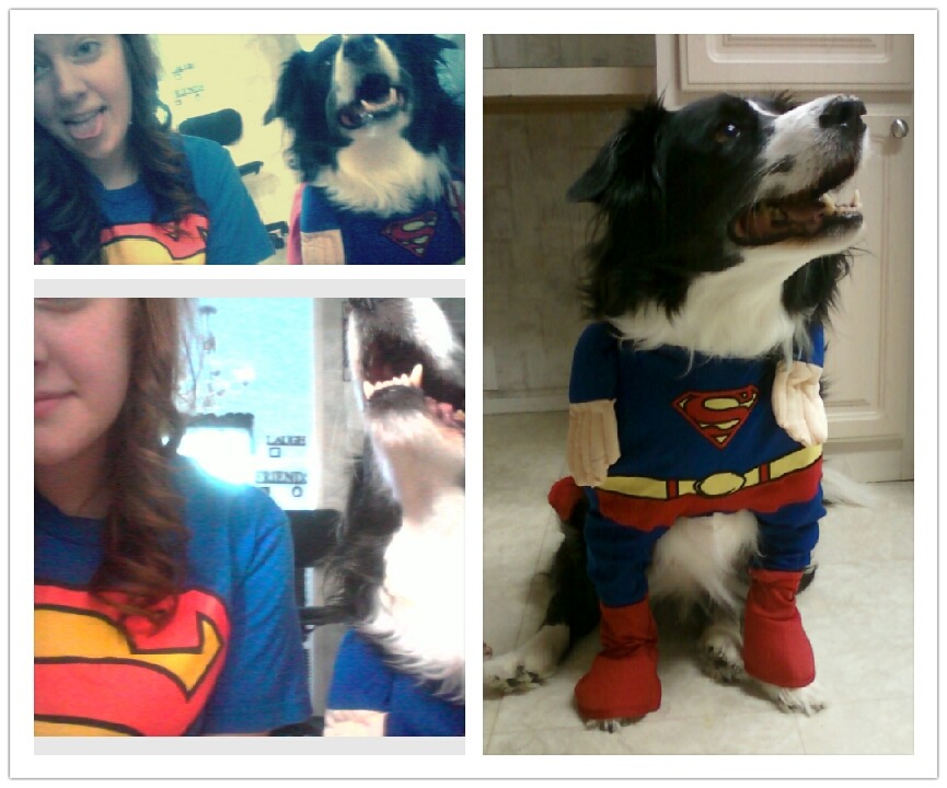 I live a pathetic ass life matching my dog.  He looks cute tho.