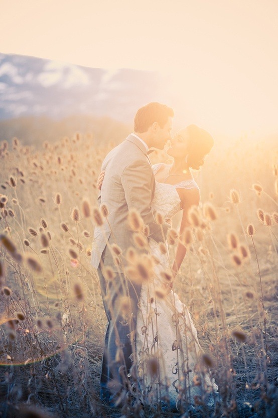 Enchanted Fairytale Dreams