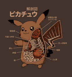 copiouslygeeky:  Pokémon Anatomy Available at BustedTees