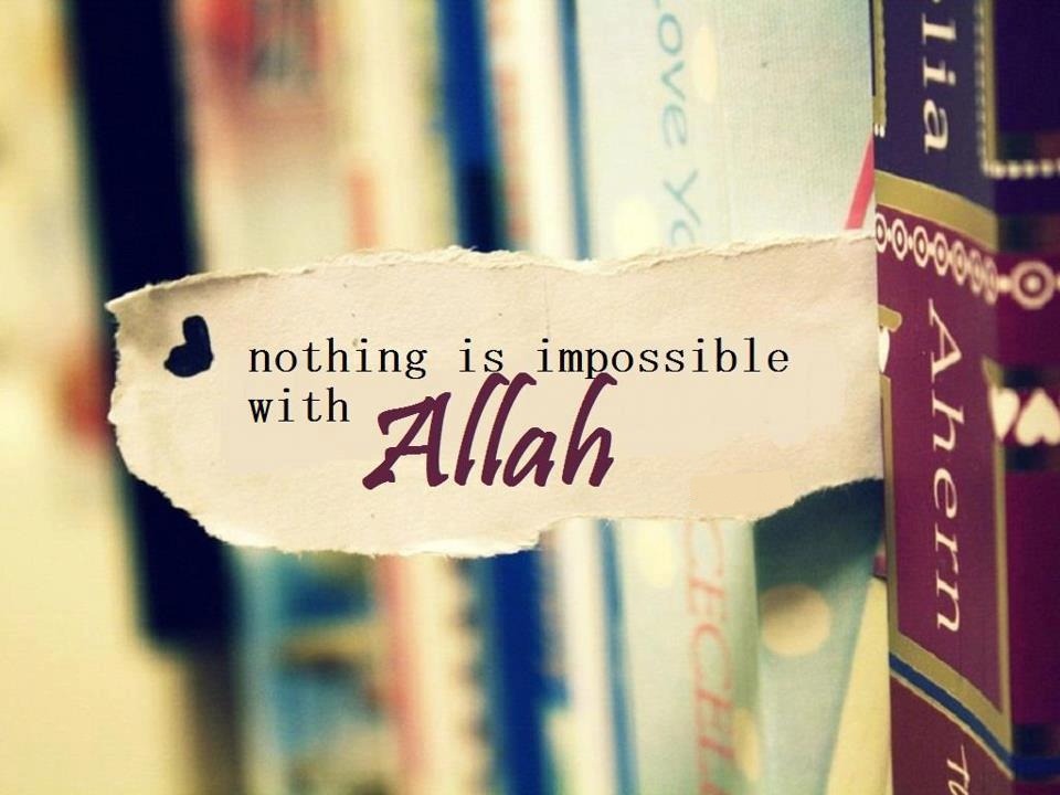 ♥ هديل * ~